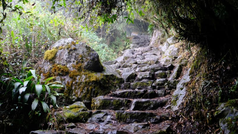 Booking and Permits What You Need to Know