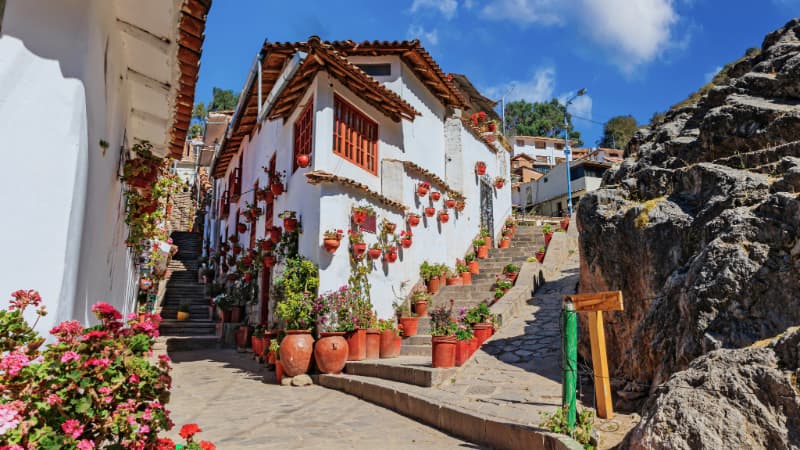 Exploring the Artists' Neighborhood