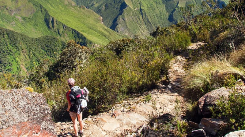 Immersed in Nature Walking Among Vegetation and Fruit Trees