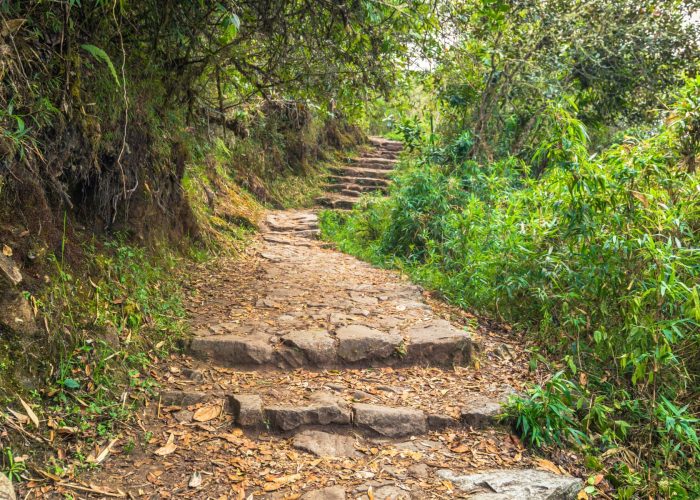 Inka Jungle Trek Secrets II