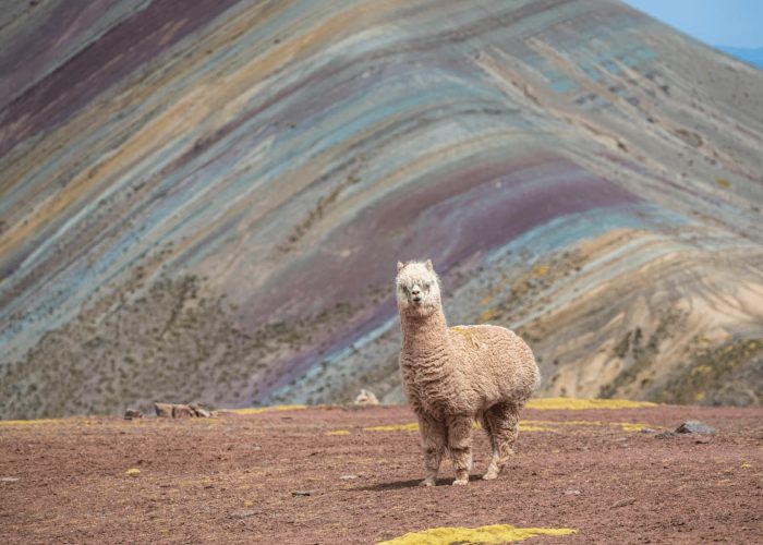 Palccoyo Rainbow Mountain